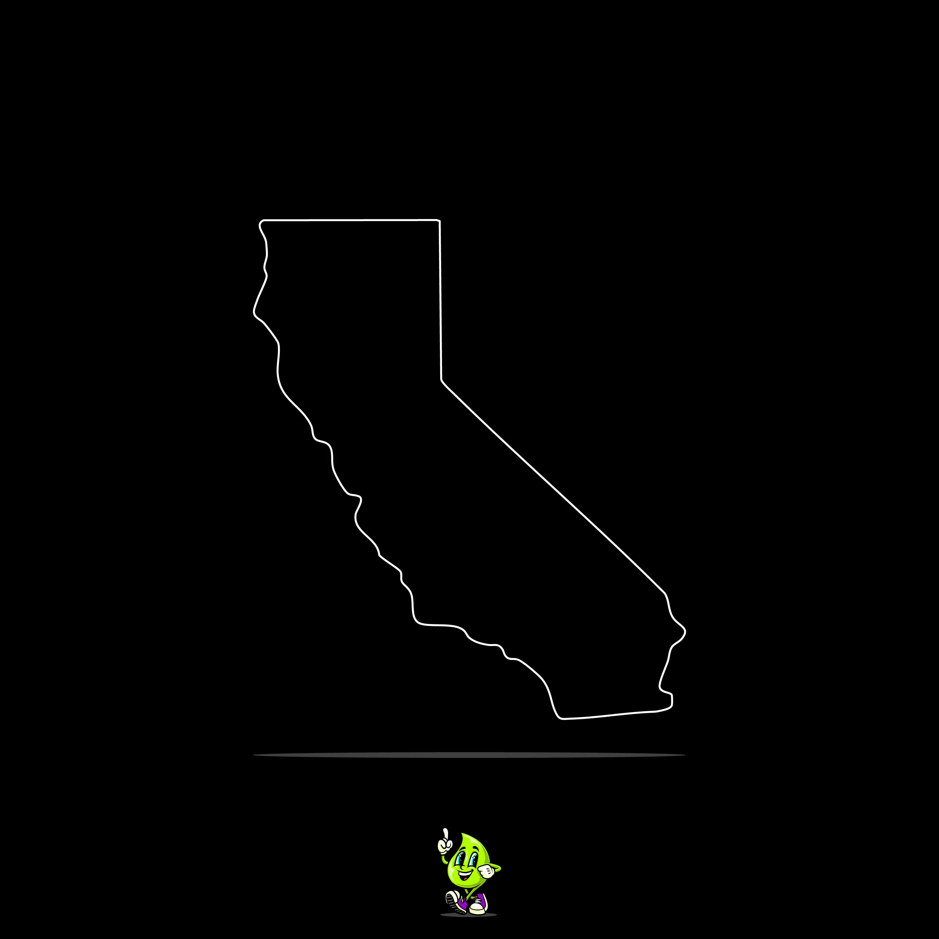 Blank California - Image 3
