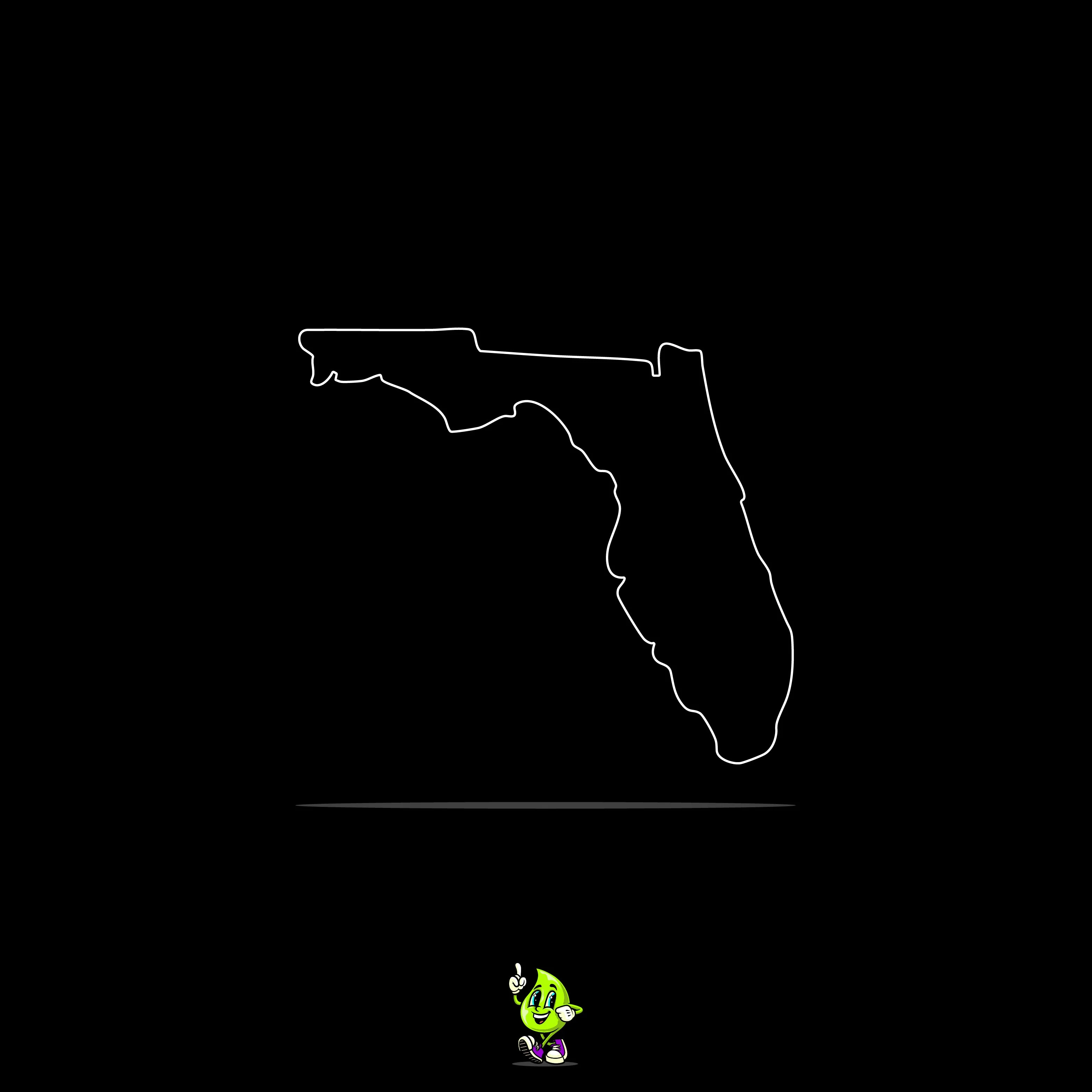 Blank Florida - Image 3