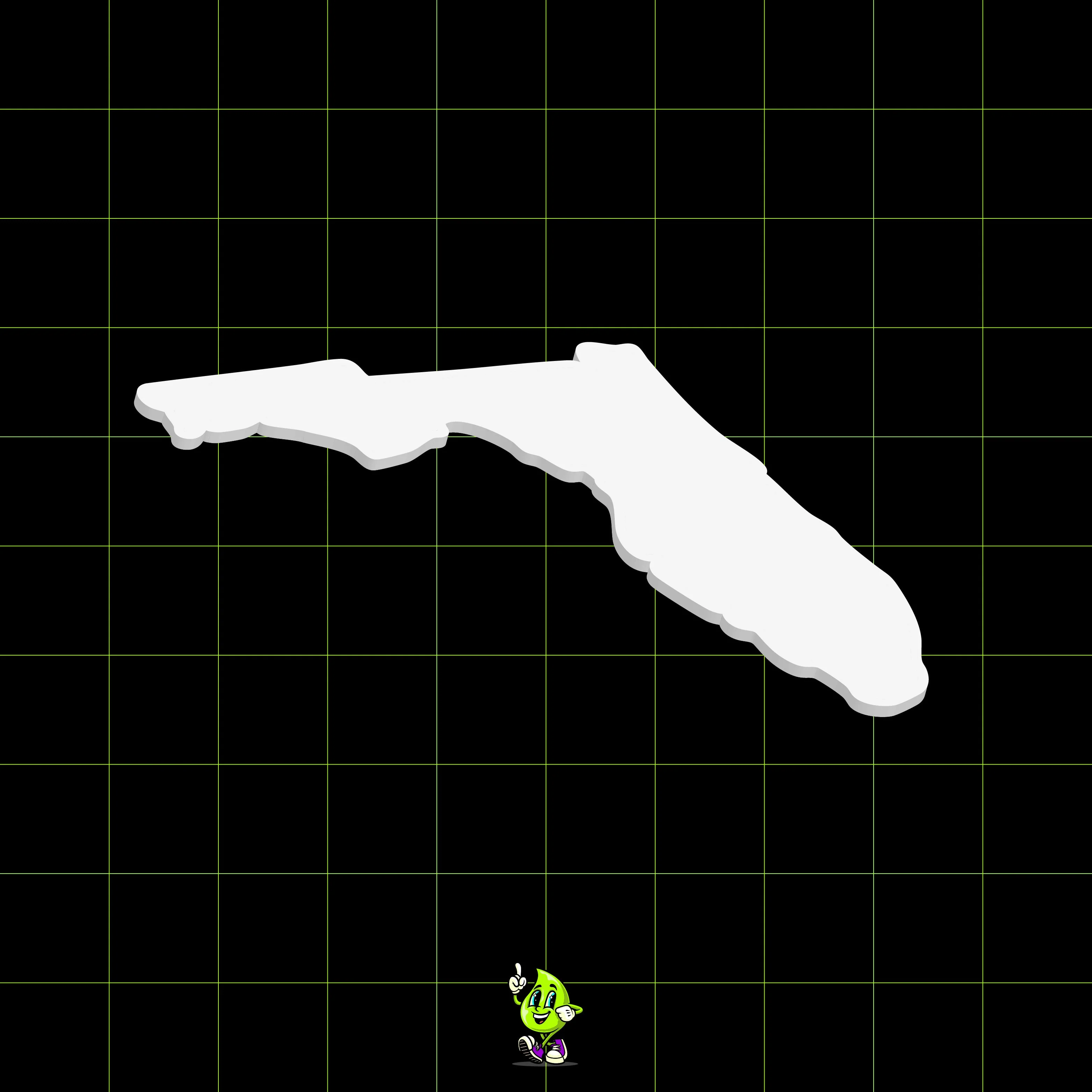 Blank Florida - Image 5