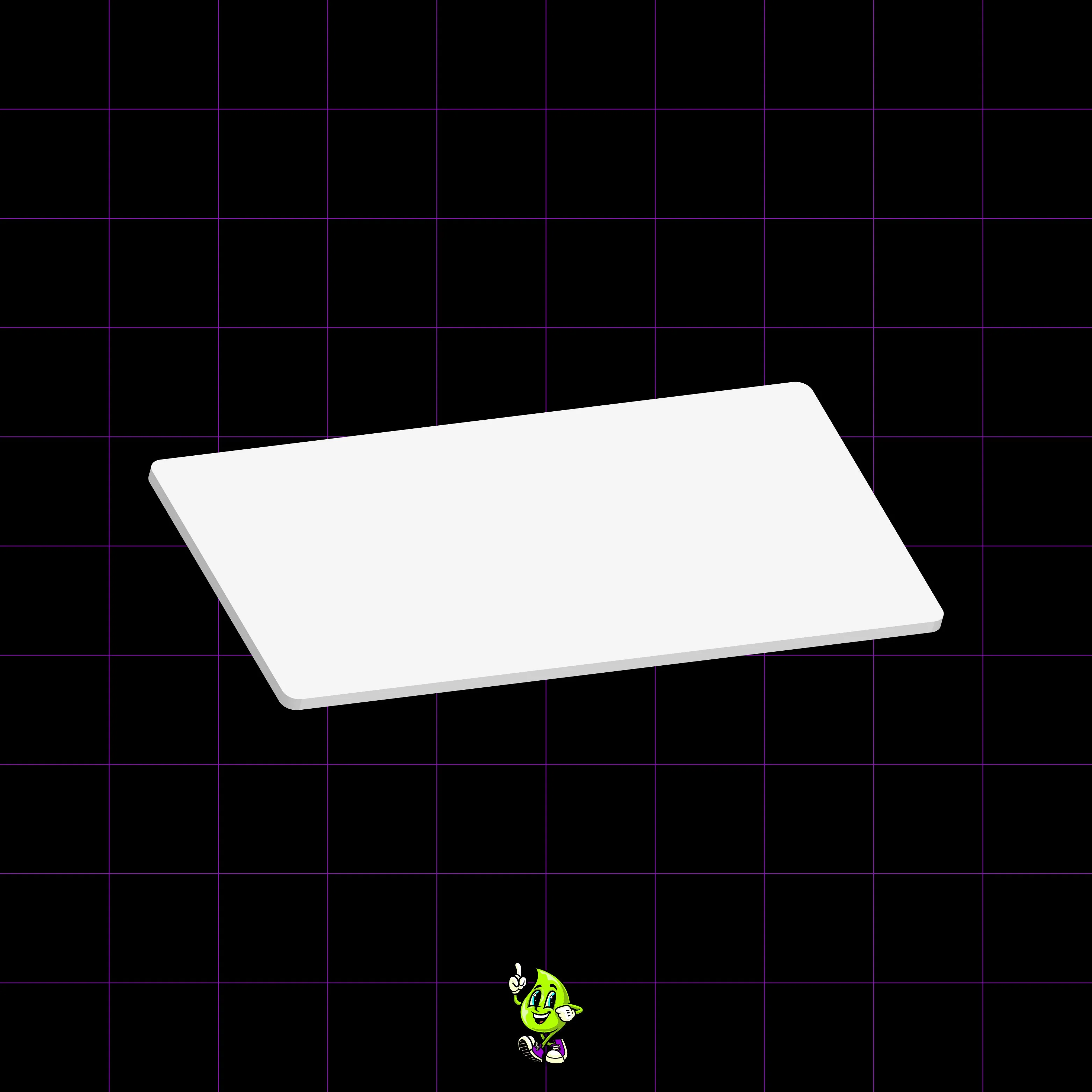 Blank License Plate - Image 5