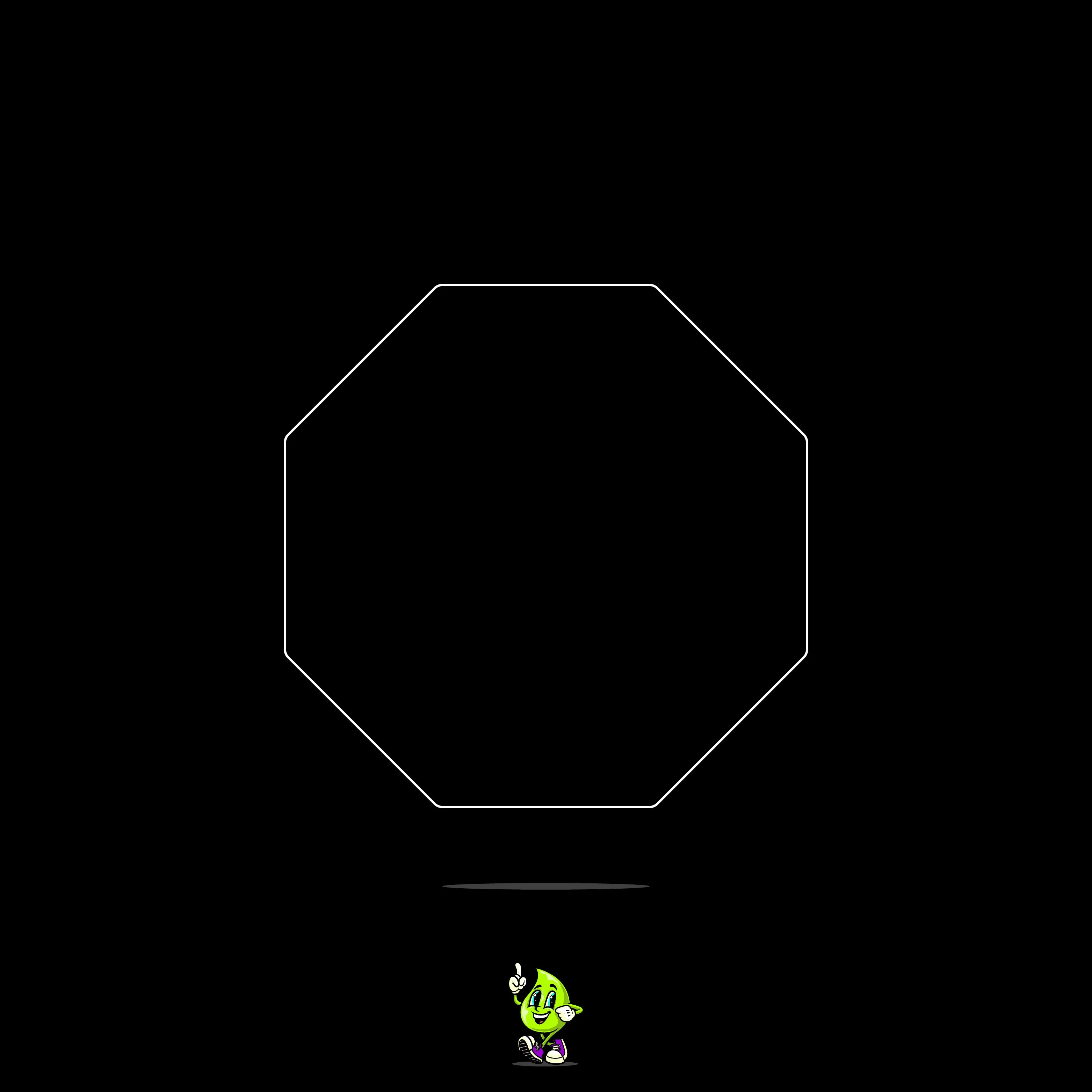Blank Octagon - Image 3
