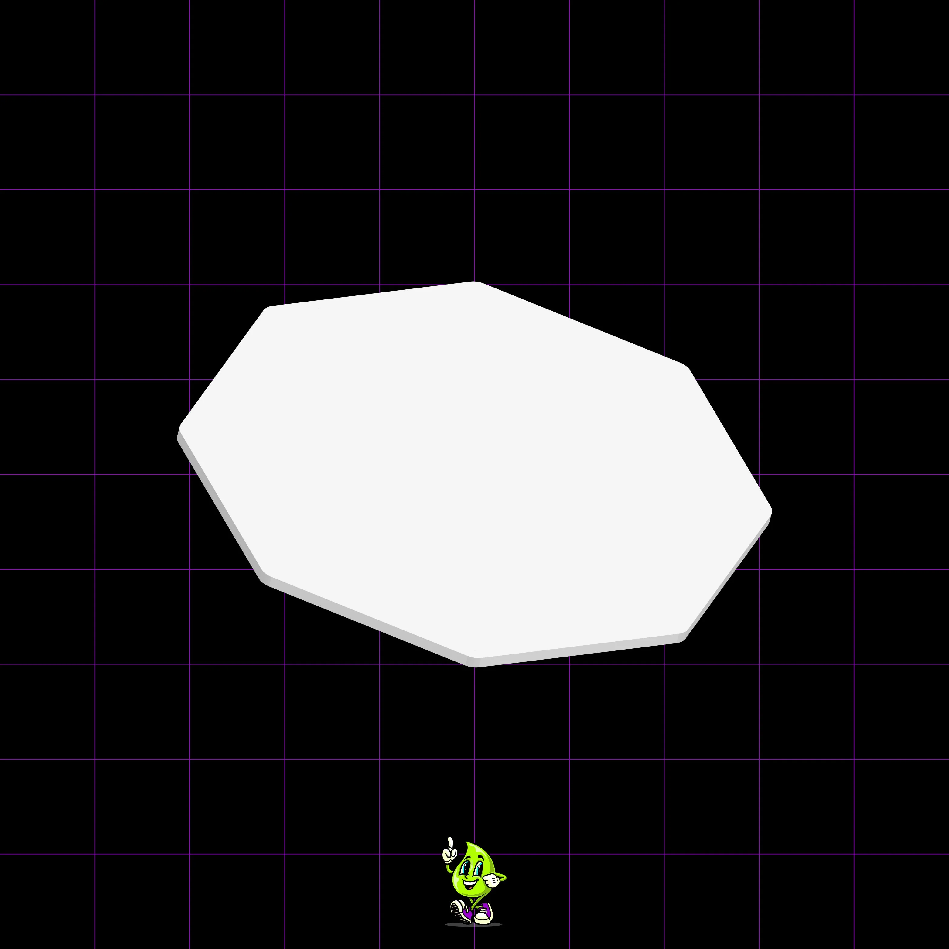 Blank Octagon - Image 5